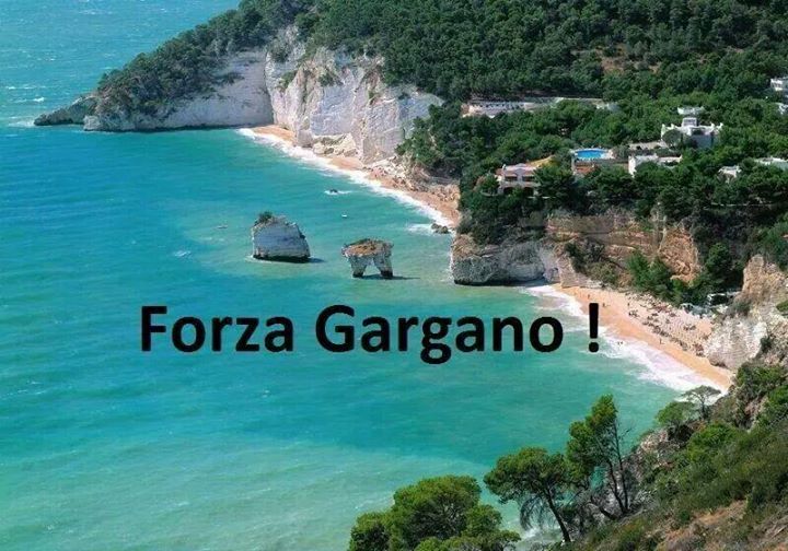 forza gargano