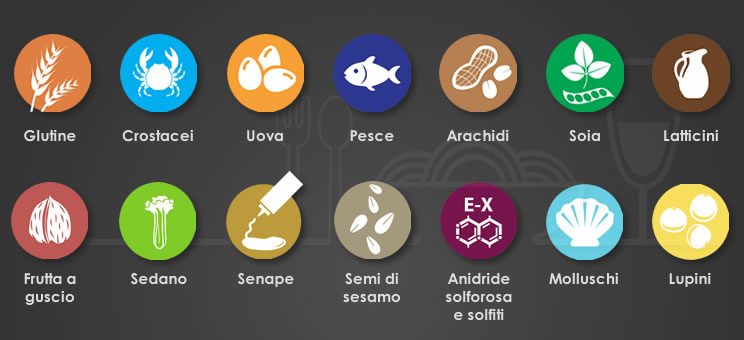 2 cartelli per la sensibilizzazione sulle allergie alimentari, 14 cartelli per la sicurezza alimentare, adesivi in vinile autoadesivi, resistenti all'olio e all'acqua, 297 x 210 mm
