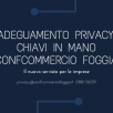 PRIVACY E CORONAVIRUS, COSA DICE IL GARANTE