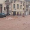 ALLUVIONE GARGANO, LA VICINANZA DI GELSOMINO
