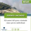 INCENDIO SUL GARGANO, LA NOSTRA SOLIDARIETA’